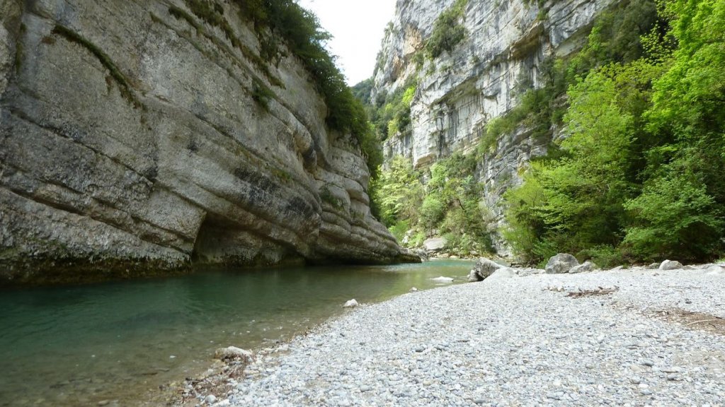 P1110438.JPG