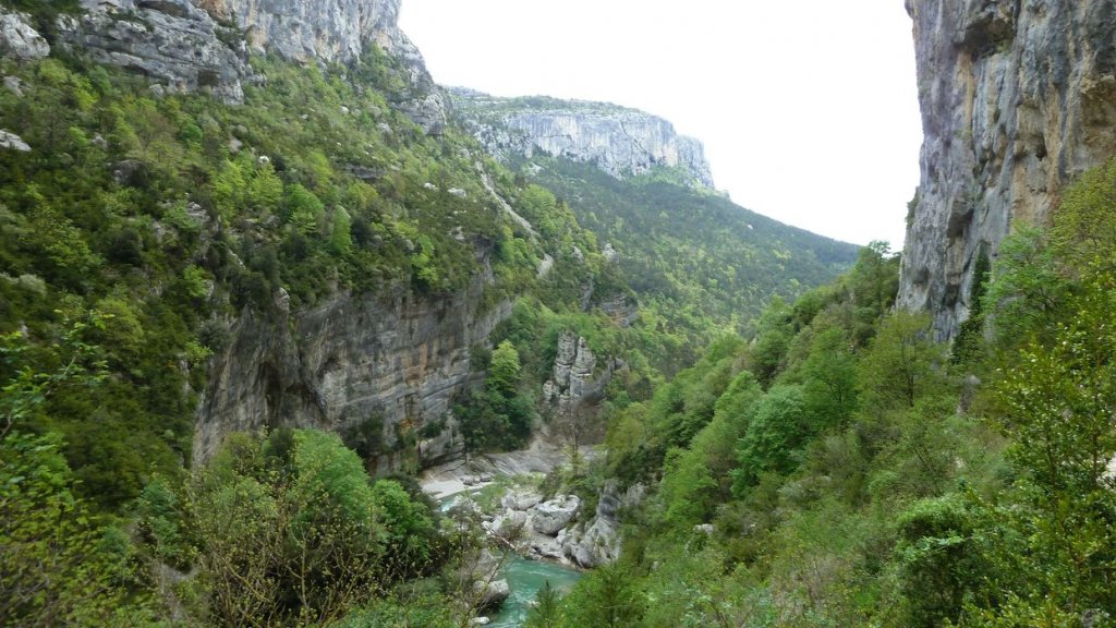P1110456.JPG