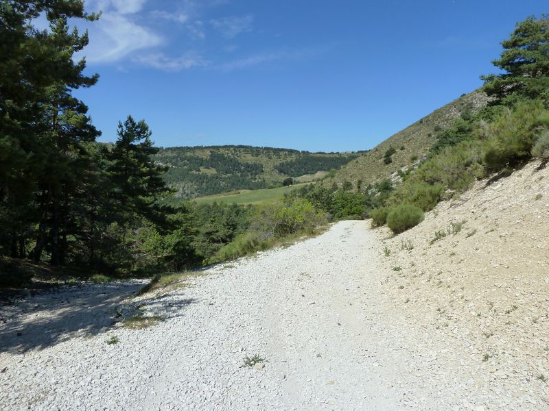 seoune_juillet_2011_035.jpg