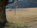 seoune_lambruisse_dec_2011_007.jpg