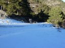 seoune_lambruisse_dec_2011_049.jpg