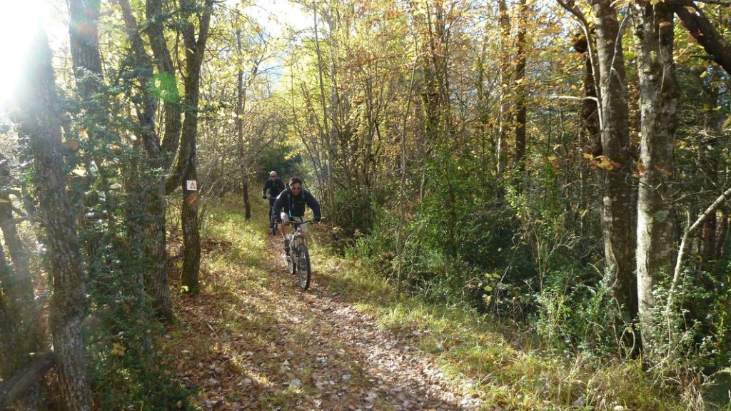autour_thorame_oct_2011_009.jpg