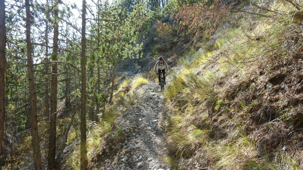 autour_thorame_oct_2011_063.jpg