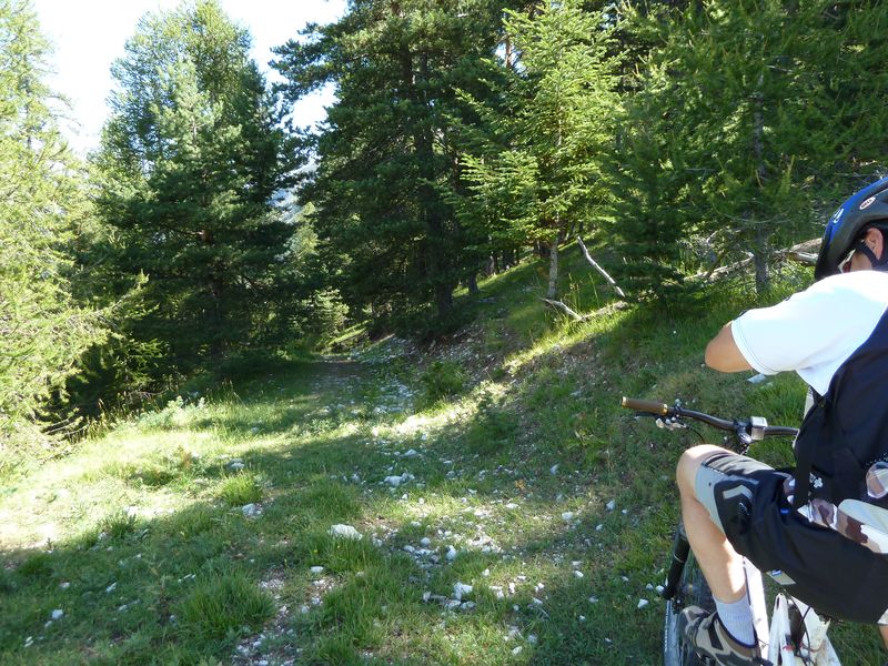 serre_carlet_2011_017.jpg
