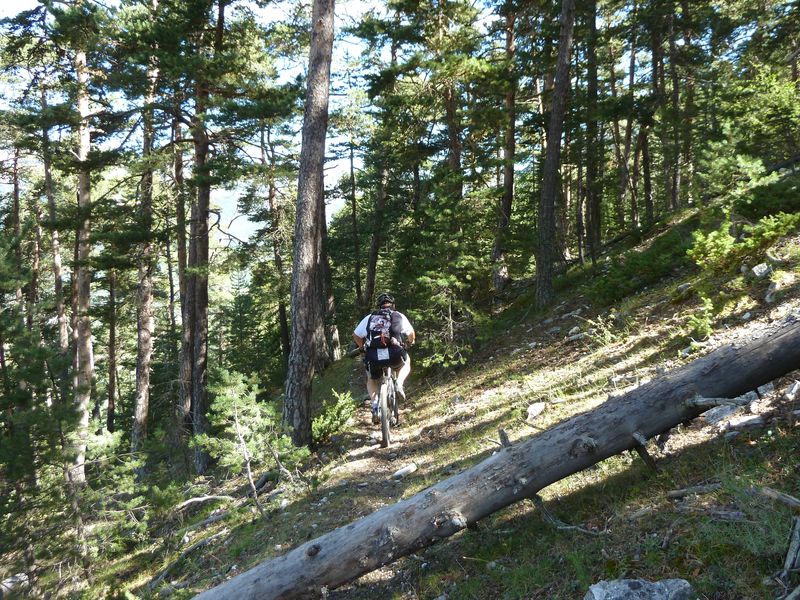serre_carlet_2011_023.jpg