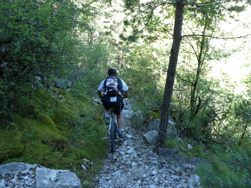 serre_carlet_2011_037.jpg