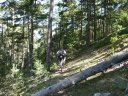 serre_carlet_2011_023.jpg