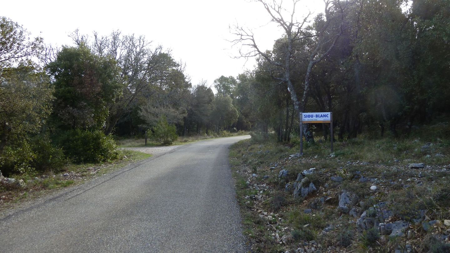 siou_blanc_avril_2018_015.JPG