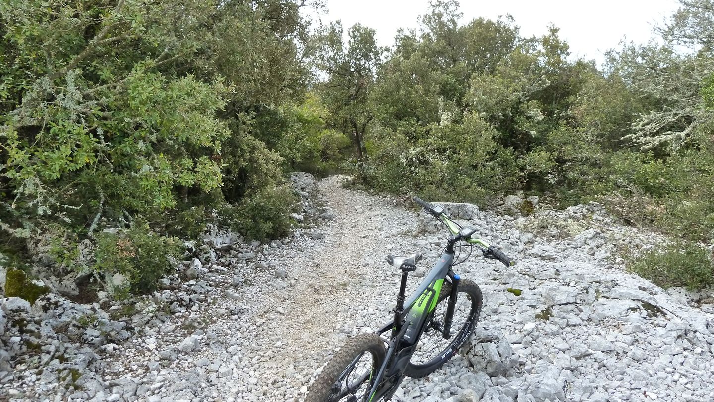 siou_blanc_avril_2018_029.JPG