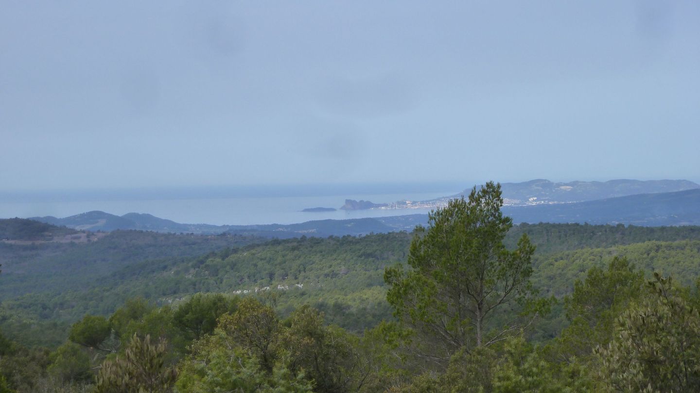 siou_blanc_avril_2018_037.JPG