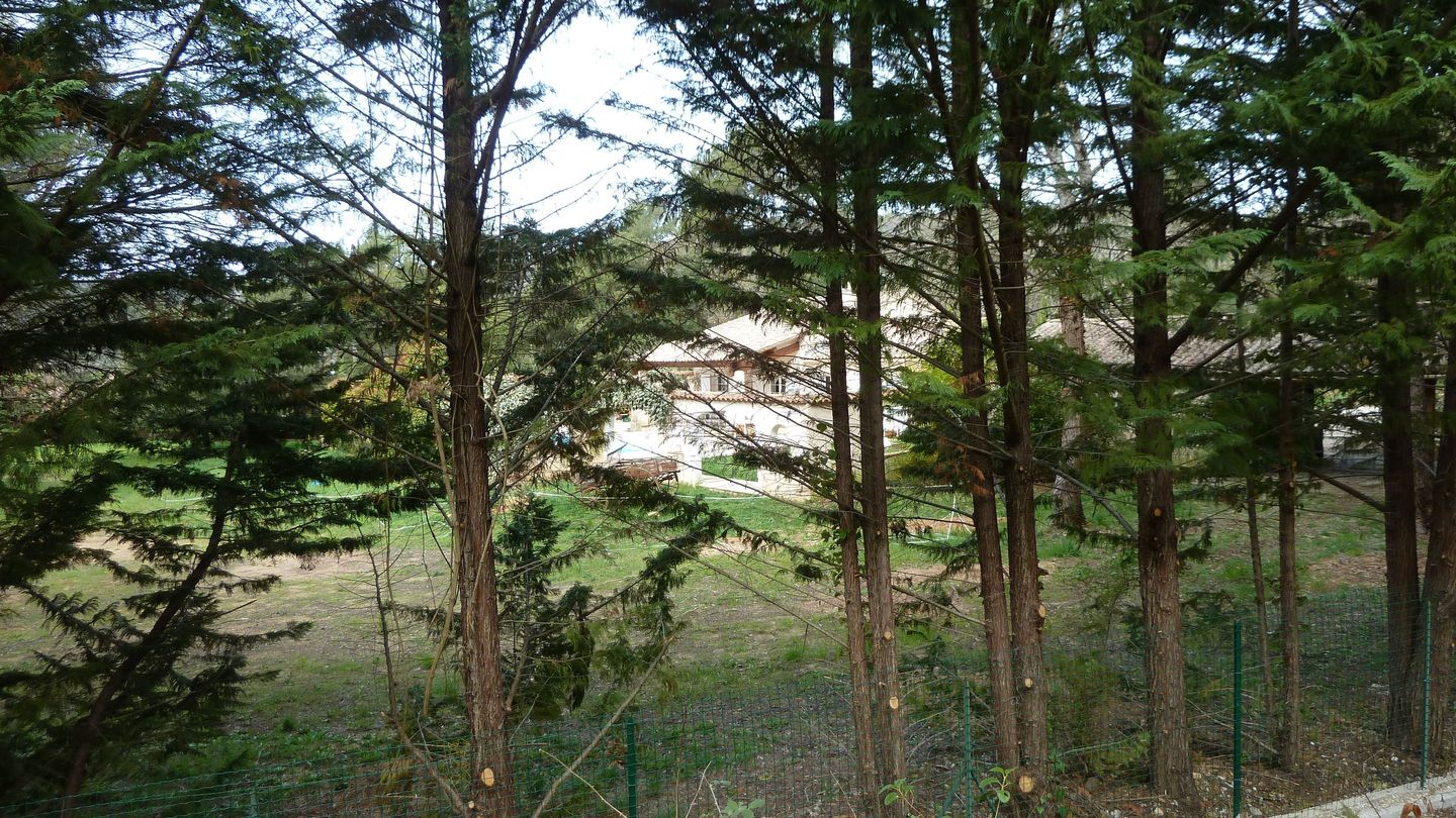 siou_blanc_avril_2018_057.JPG