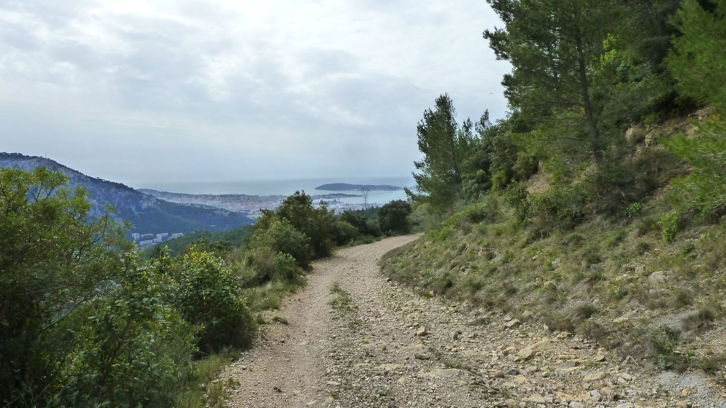 siou_blanc_avril_2018_059.JPG