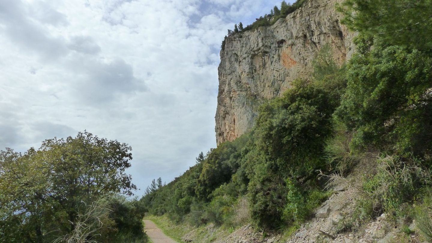 siou_blanc_avril_2018_061.JPG