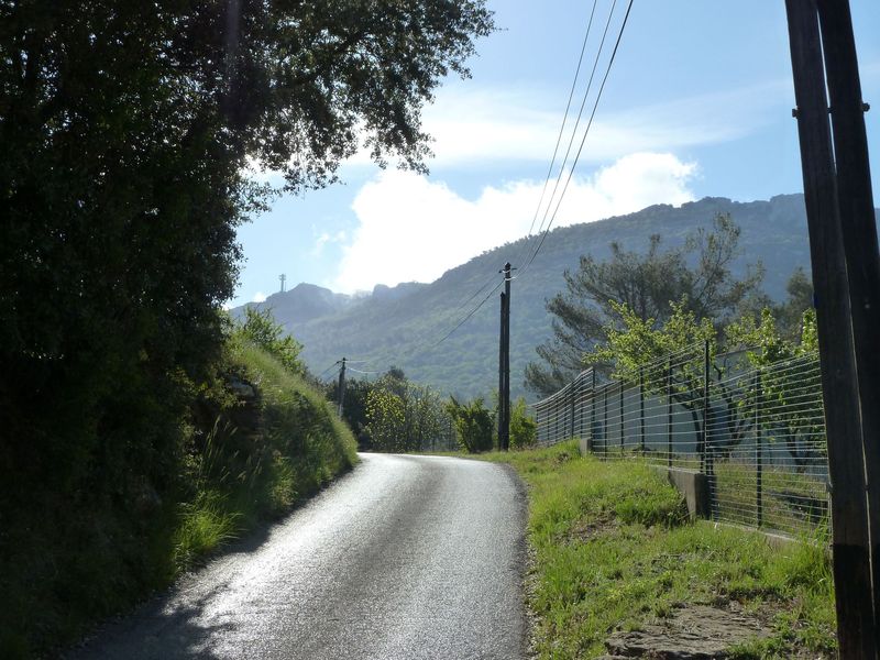 siou_blanc_mai_2012_010.jpg