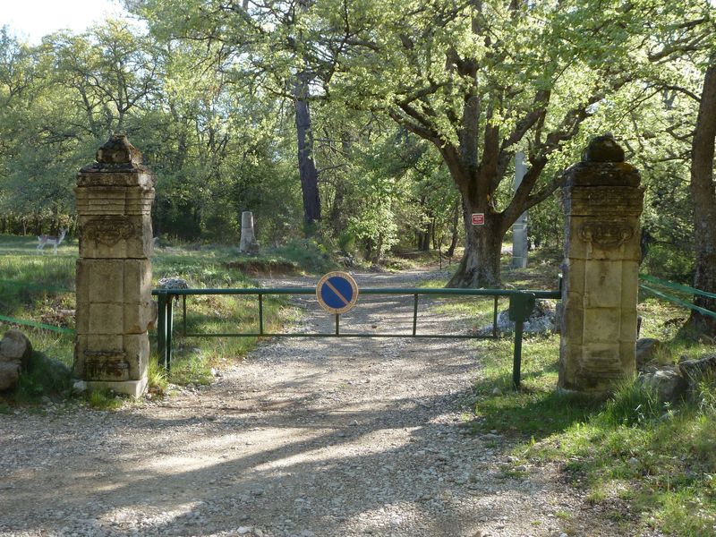siou_blanc_mai_2012_012.jpg