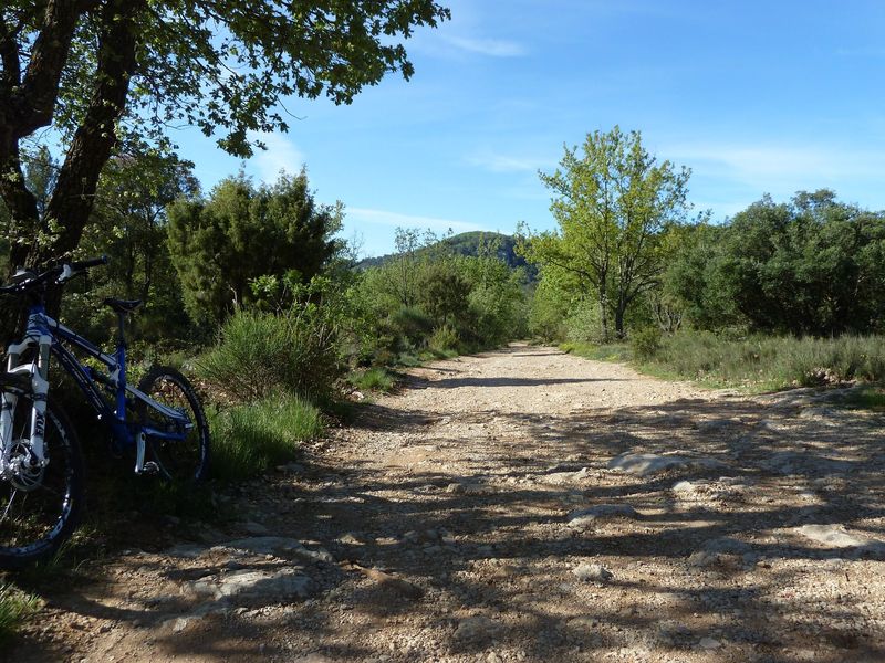 siou_blanc_mai_2012_018.jpg