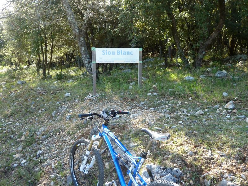 siou_blanc_mai_2012_020.jpg