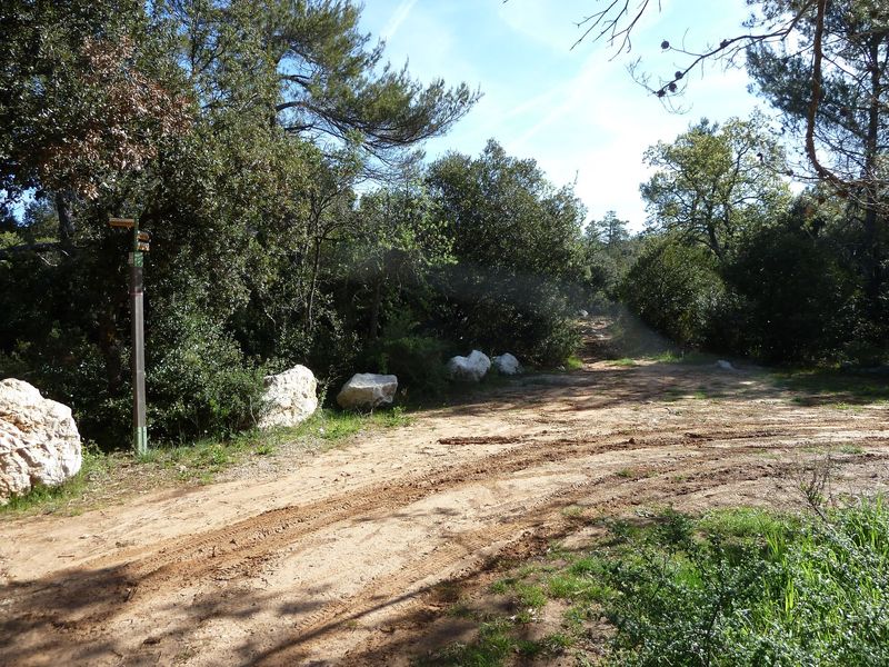 siou_blanc_mai_2012_024.jpg