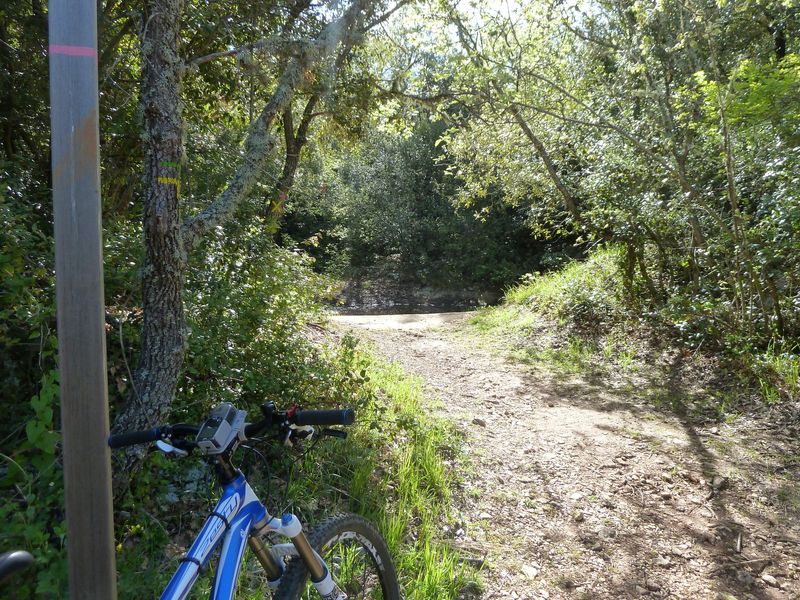 siou_blanc_mai_2012_028.jpg