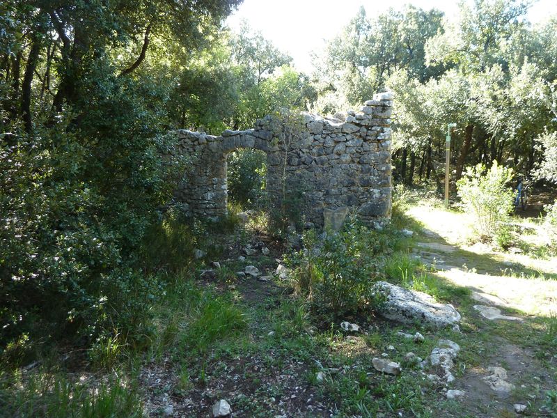 siou_blanc_mai_2012_038.jpg