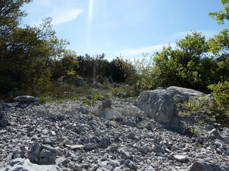 siou_blanc_mai_2012_048.jpg