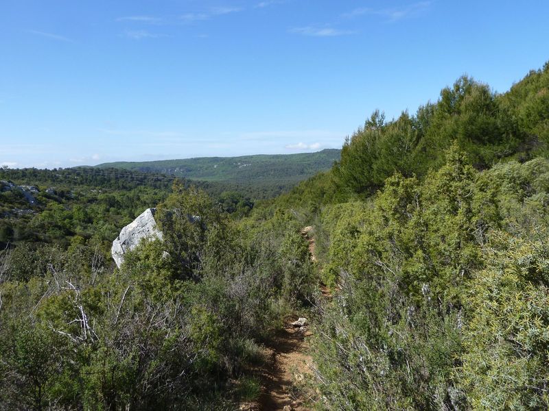 siou_blanc_mai_2012_054.jpg