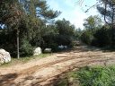 siou_blanc_mai_2012_024.jpg