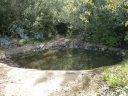 siou_blanc_mai_2012_030.jpg