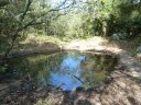 siou_blanc_mai_2012_032.jpg