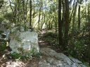 siou_blanc_mai_2012_036.jpg