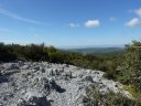 siou_blanc_mai_2012_046.jpg