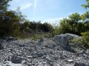 siou_blanc_mai_2012_048.jpg