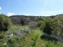 siou_blanc_mai_2012_058.jpg