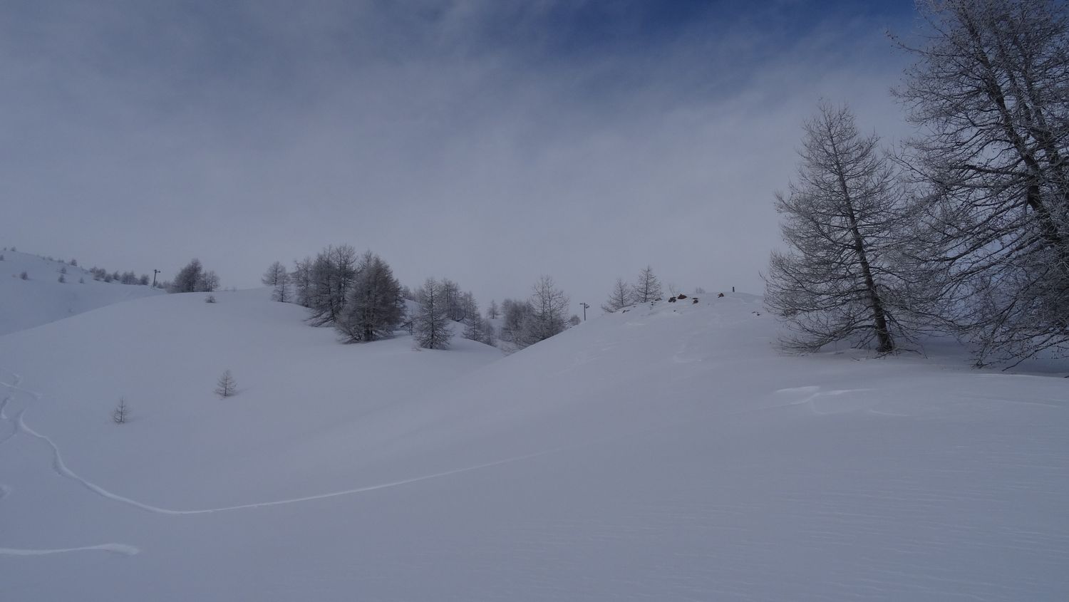 prelong_janv_2021_007.JPG