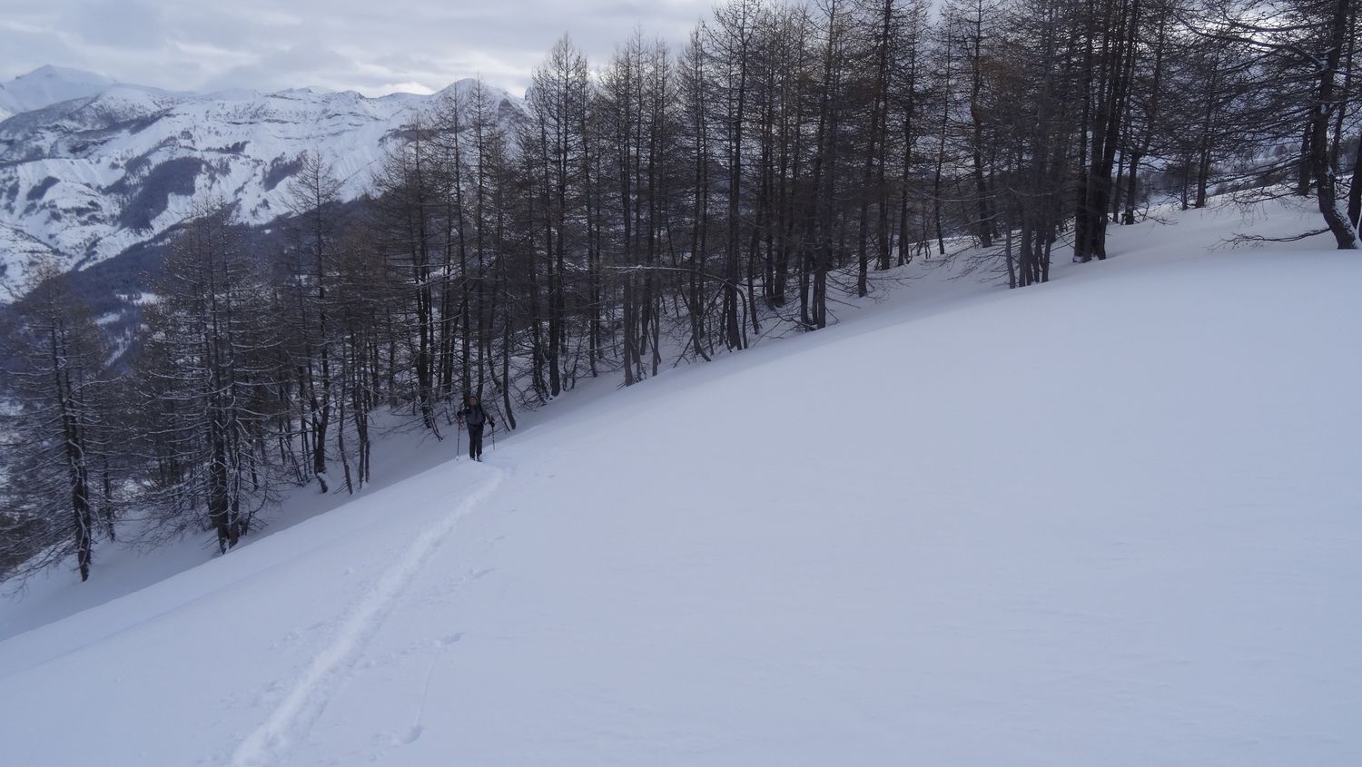 prelong_janv_2021_008.JPG