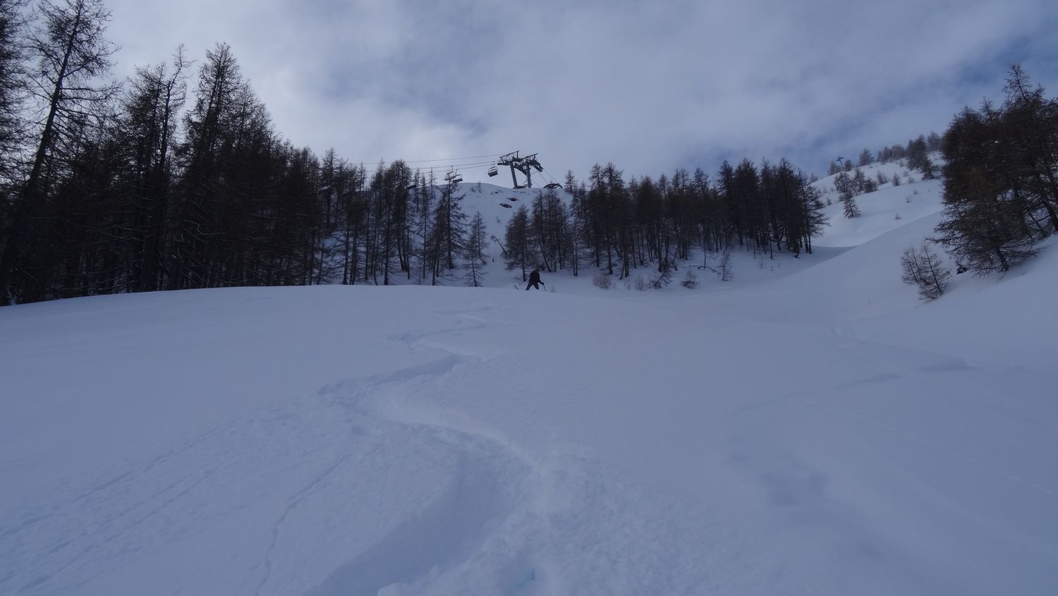 prelong_janv_2021_014.JPG