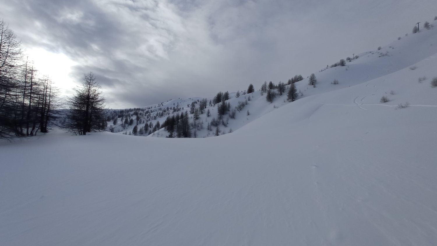 prelong_janv_2021_021.jpg