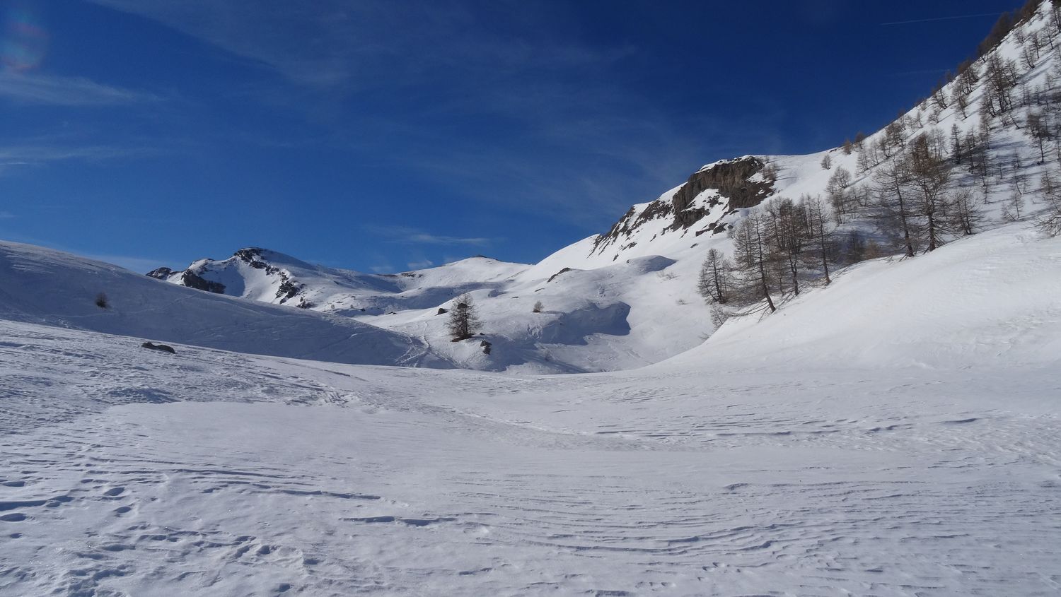monier_fev_2020_17.jpg
