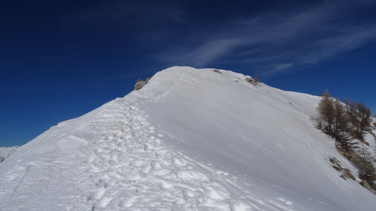 monier_fev_2020_47.jpg