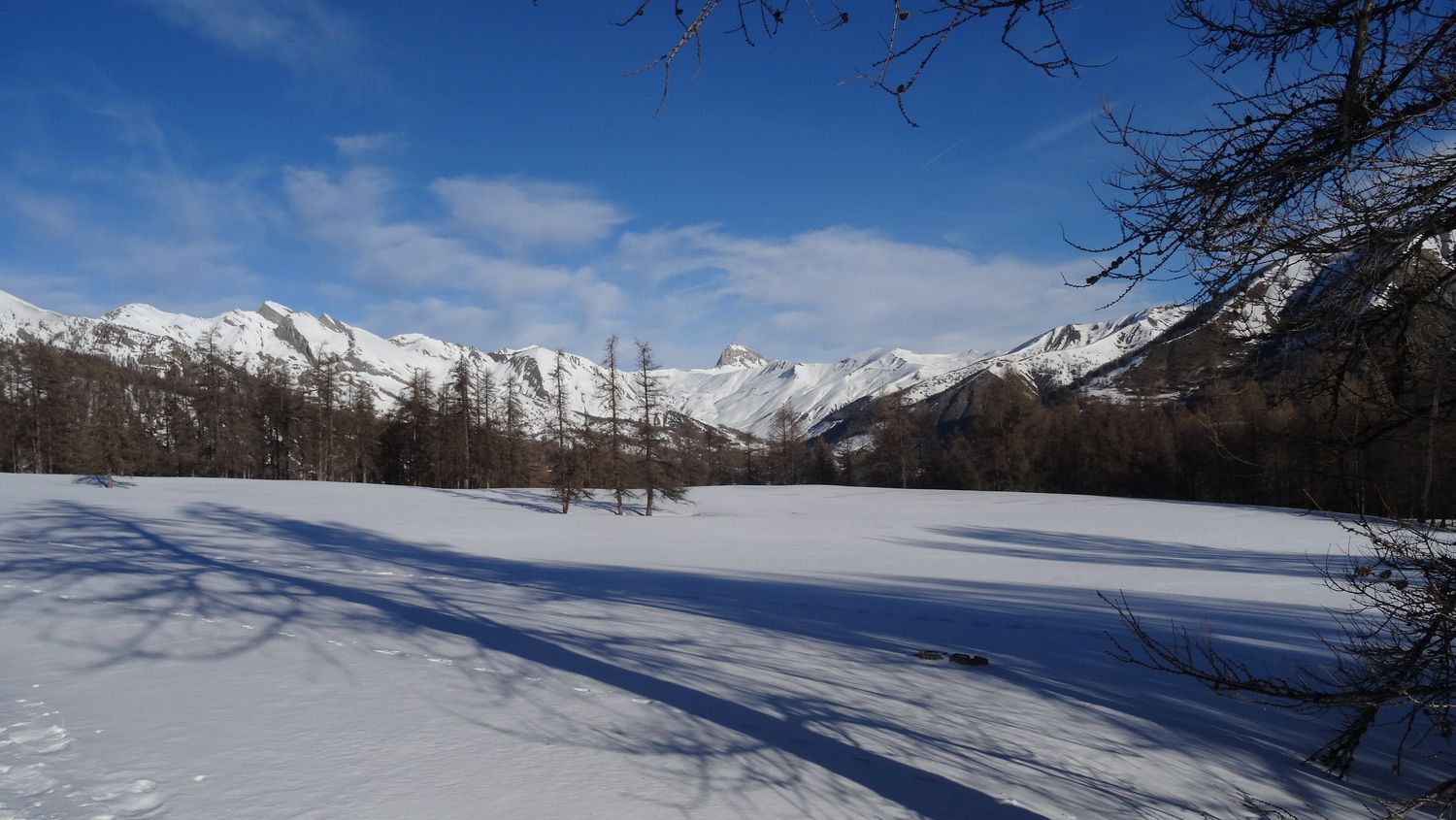 prabertrand_fev_2020_11.jpg