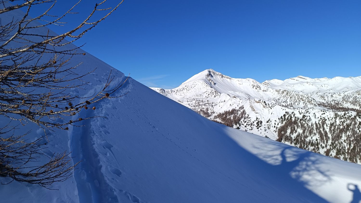 pra_bertrand_janv_2024_022.jpg