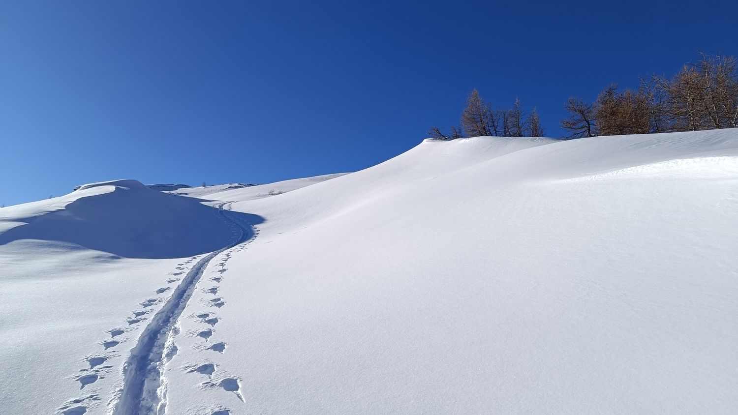 pra_bertrand_janv_2024_049.jpg