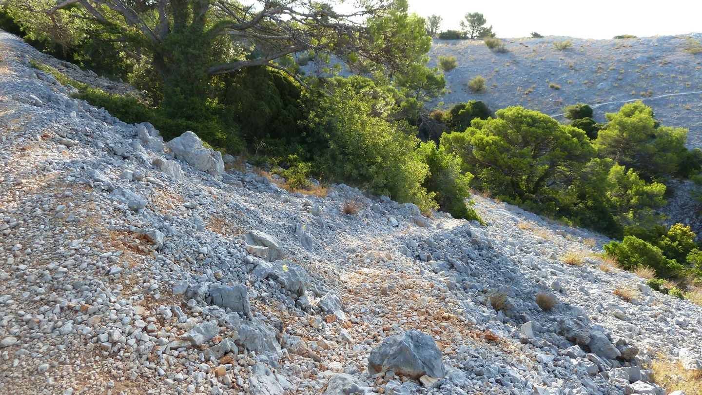 baou_sept_2017_52.JPG