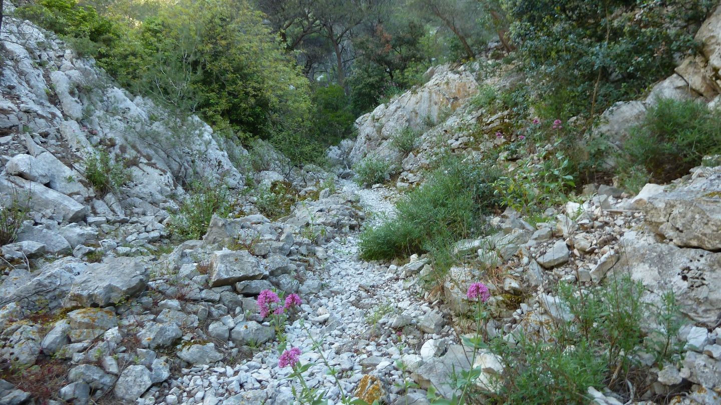 sommet_faron_avril_2017_041.JPG