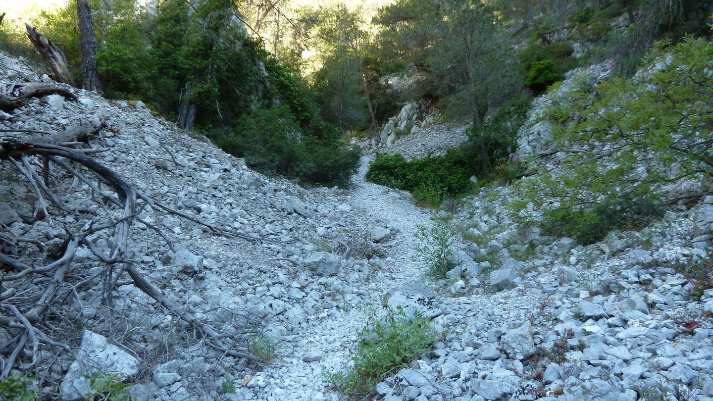 sommet_faron_avril_2017_051.JPG