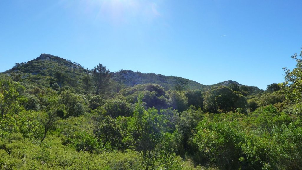 P1090201.JPG