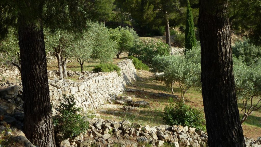 sommet_coudon_mai_2016_007.JPG