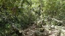 sommet_coudon_mai_2016_043.JPG