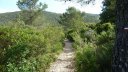 sommet_coudon_mai_2016_053.JPG