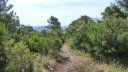sommet_coudon_mai_2016_063.JPG